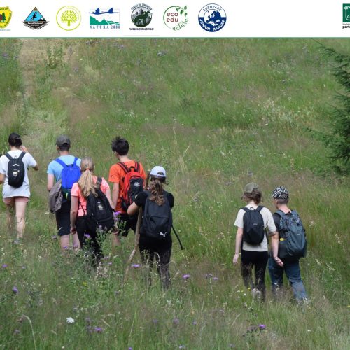 Au început înscrierile la Tabăra Junior Ranger 2026 în Parcul Național Retezat
