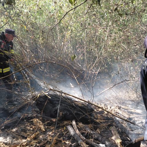 Incendiu de vegetație pe 60 de hectare, lichidat de pompieri și localnici la Streisângeorgiu